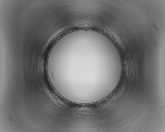 X0000111190400200907011013