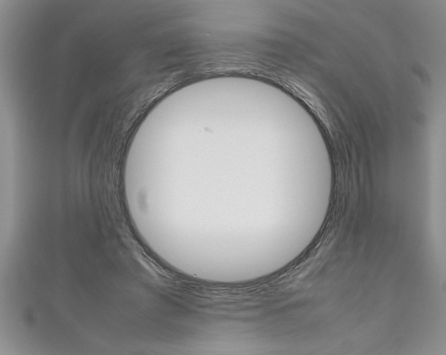 X0000111190401200907011013