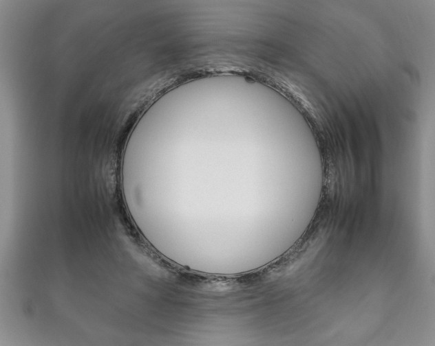 X0000111190402200907011013