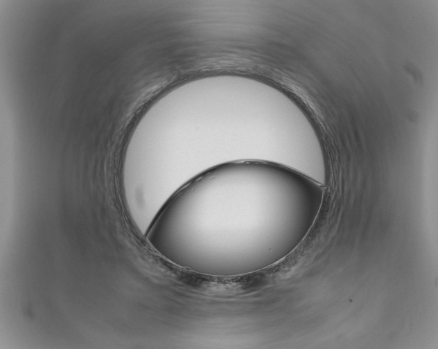 X0000111190403200907011013