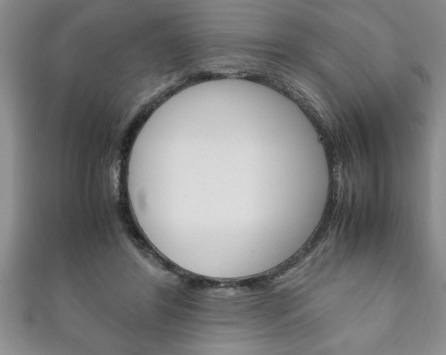 X0000111190404200907011013