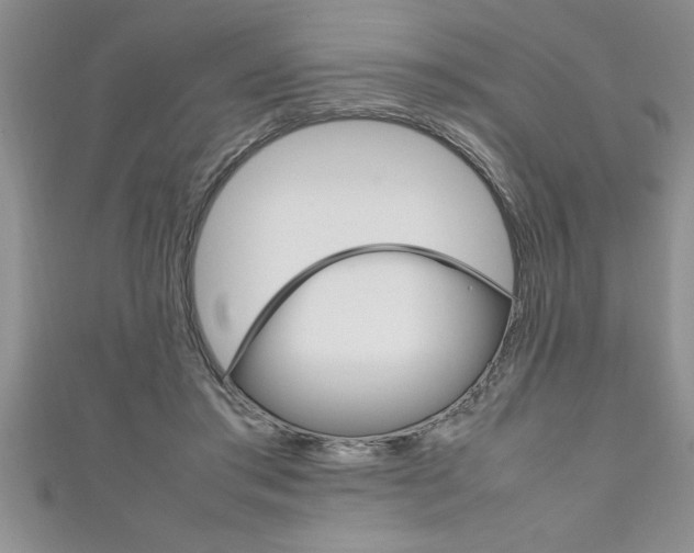 X0000111190405200907011013