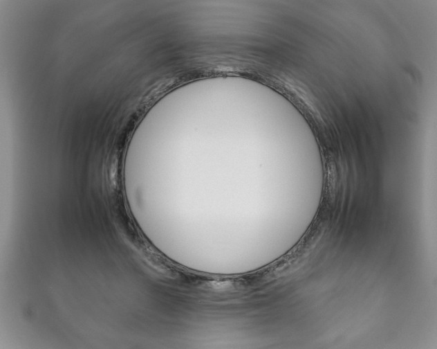 X0000111190406200907011013