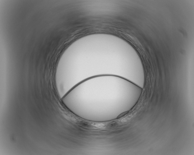 X0000111190409200907011013