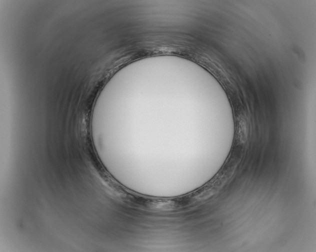 X0000111190410200907011013