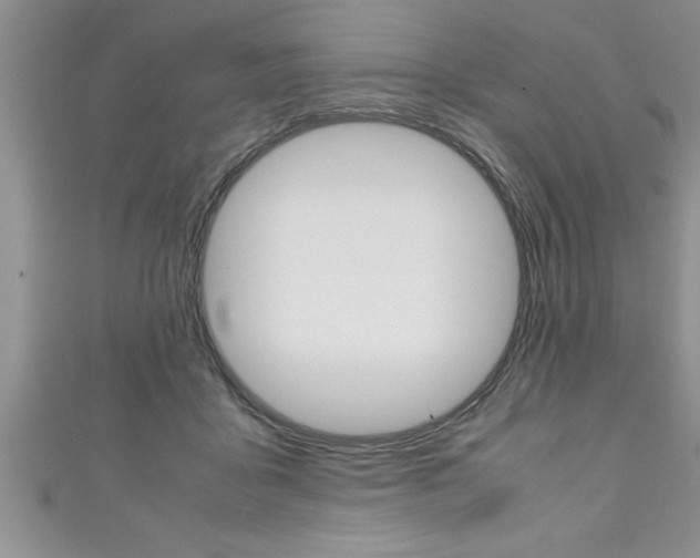 X0000111190411200907011013