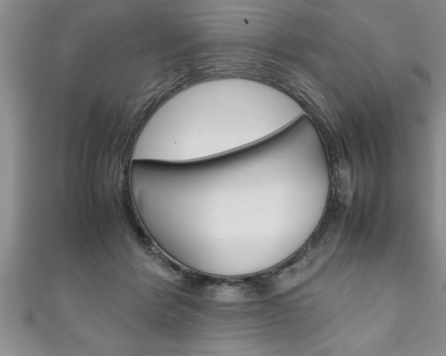 X0000111190412200907011013