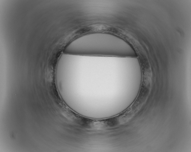 X0000111190413200907011013