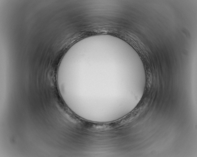 X0000111190414200907011013