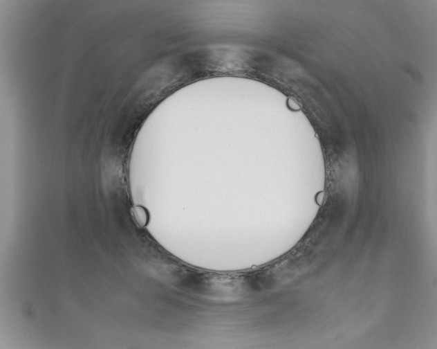 X0000111190415200907011013