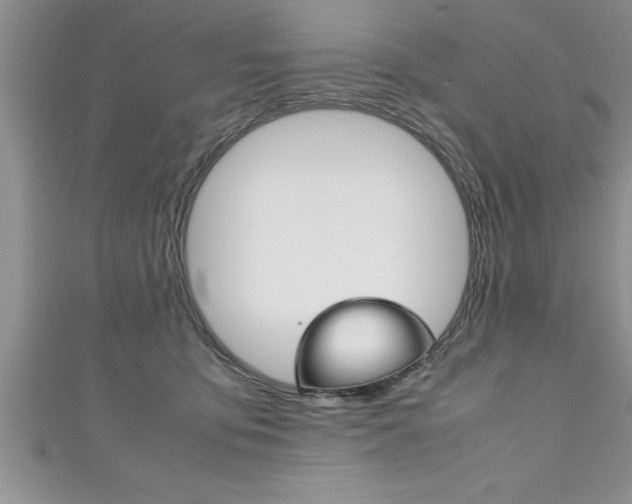 X0000111190419200907011013