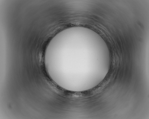 X0000111190420200907011013
