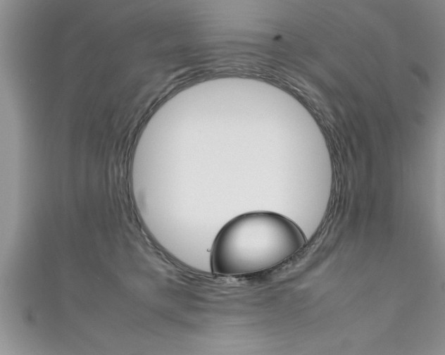 X0000111190421200907011013