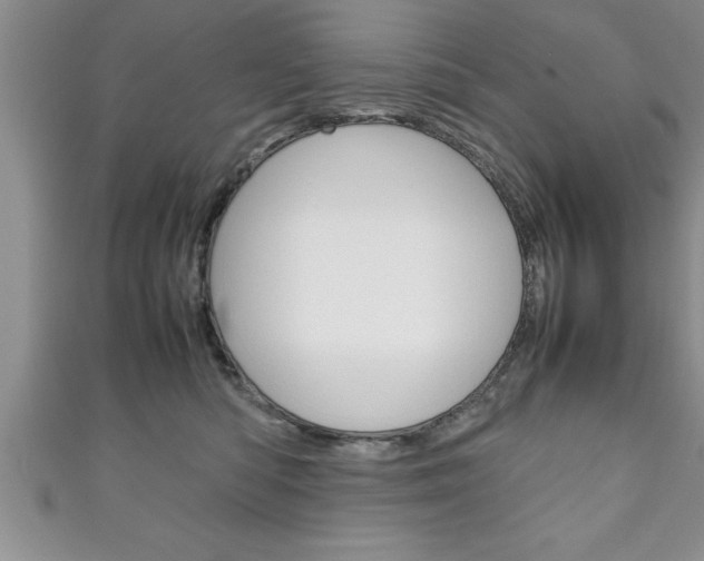 X0000111190422200907011013