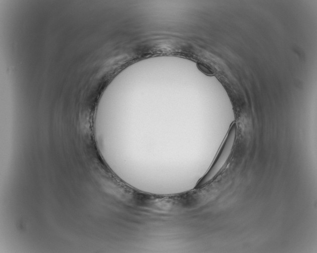 X0000111190423200907011013
