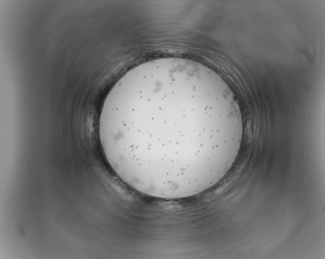 X0000111190424200907011013