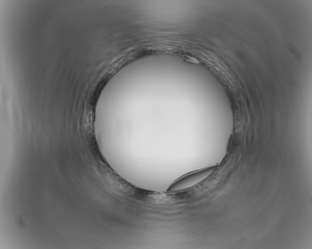 X0000111190425200907011013