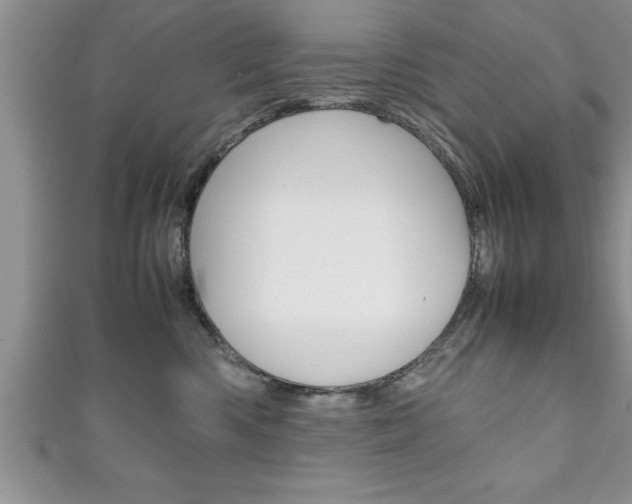 X0000111190426200907011013