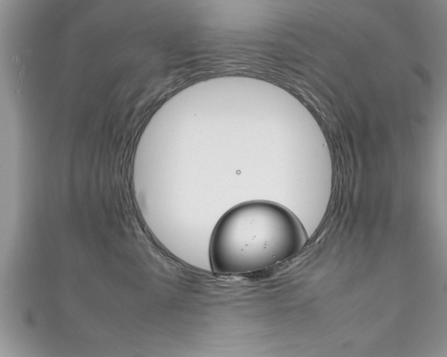X0000111190427200907011013