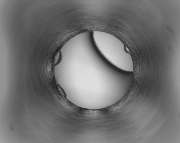 X0000111190428200907011013