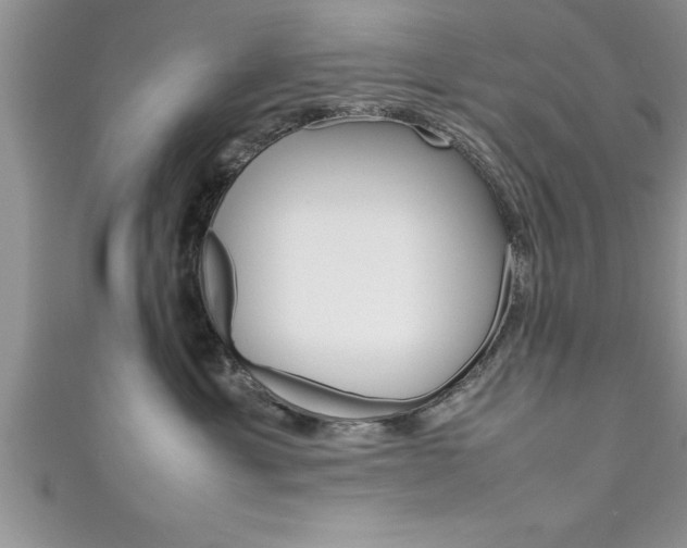 X0000111190429200907011013