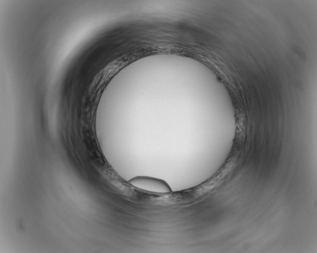 X0000111190430200907011013
