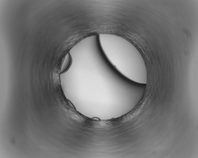 X0000111190432200907011013