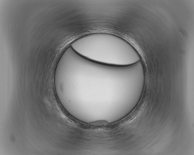 X0000111190433200907011012
