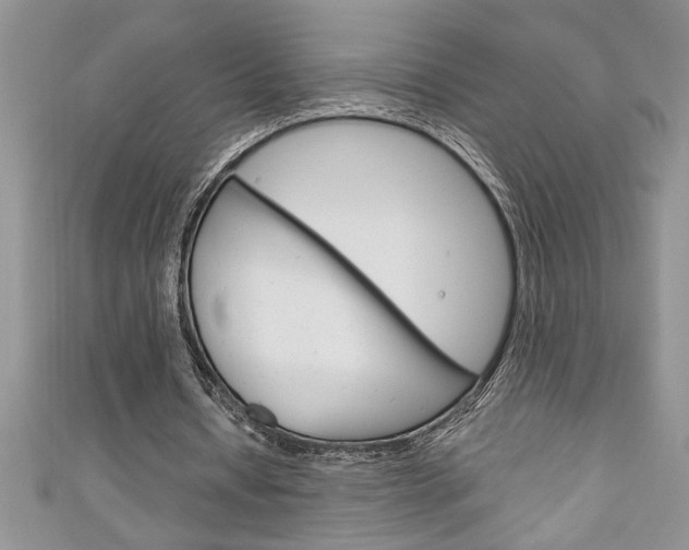 X0000111190434200907011012