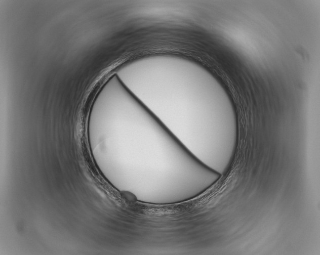 X0000111190435200907011012