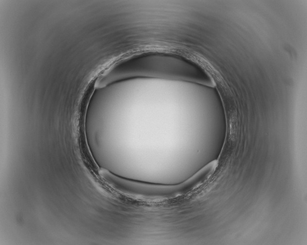 X0000111190436200907011012