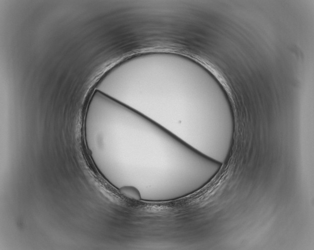 X0000111190437200907011012