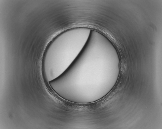 X0000111190438200907011012
