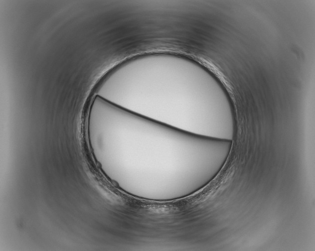 X0000111190439200907011012