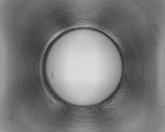 X0000111190440200907011012