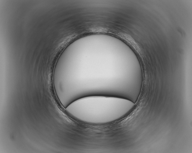 X0000111190441200907011012