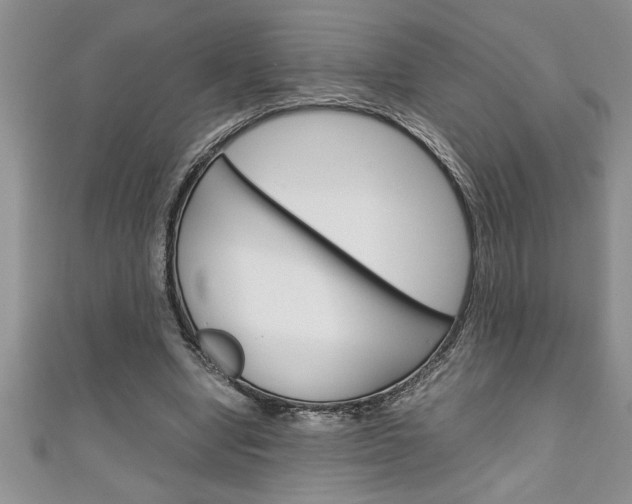 X0000111190442200907011012