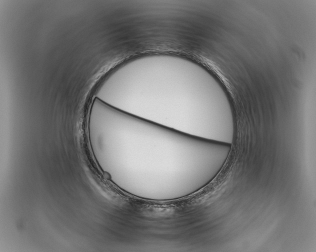 X0000111190443200907011012