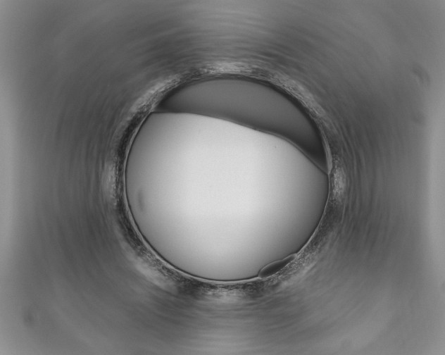 X0000111190444200907011012