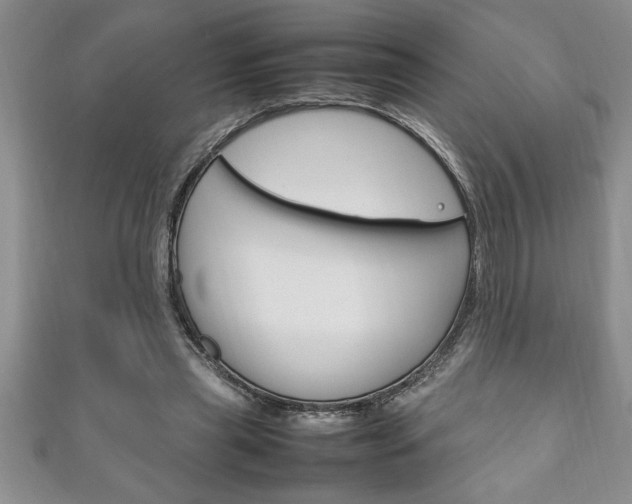 X0000111190445200907011012