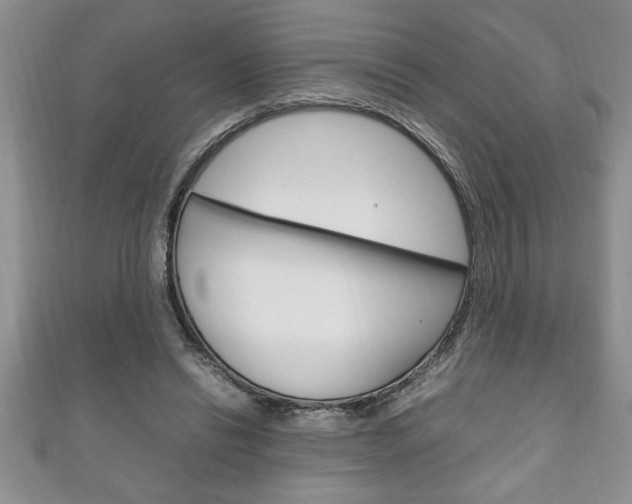 X0000111190446200907011012