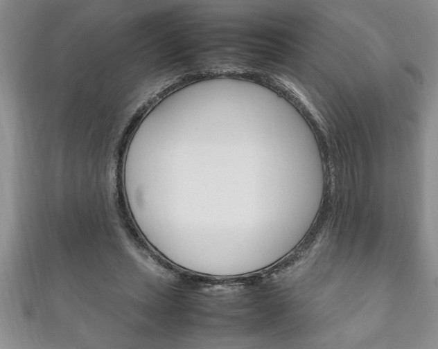 X0000111190447200907011012