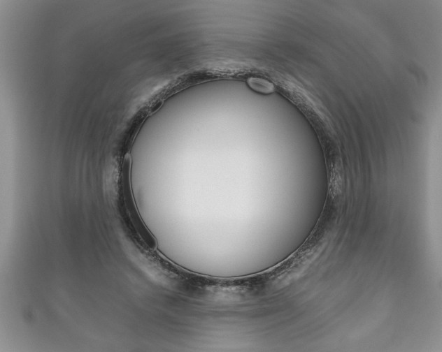 X0000111190448200907011012