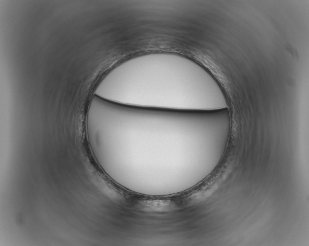 X0000111190449200907011012