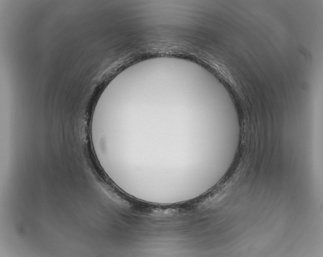 X0000111190450200907011012