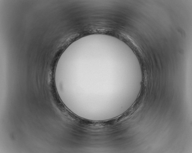 X0000111190451200907011012