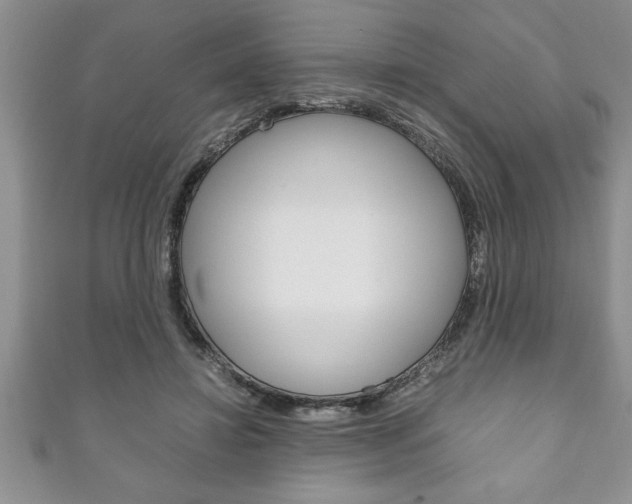 X0000111190452200907011012