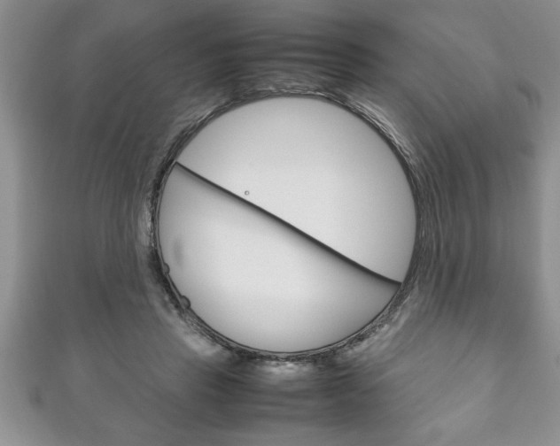 X0000111190453200907011012