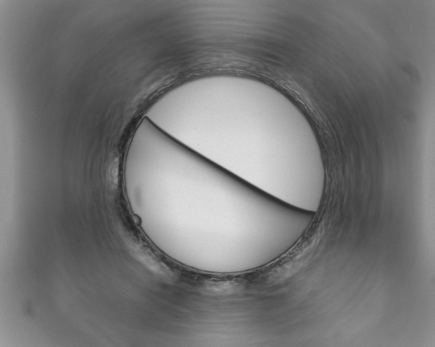 X0000111190454200907011012