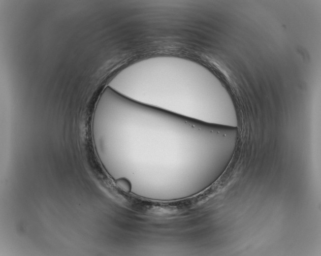 X0000111190455200907011012